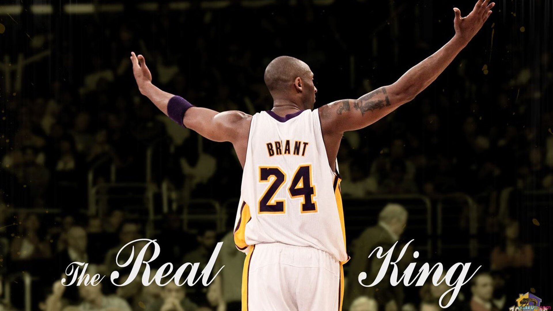 NBA球星在社交媒体上秀恩爱，引发热议，nba球星在社交媒体上秀恩爱,引发热议是什么